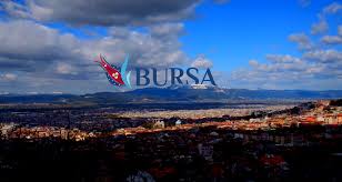 Bursa